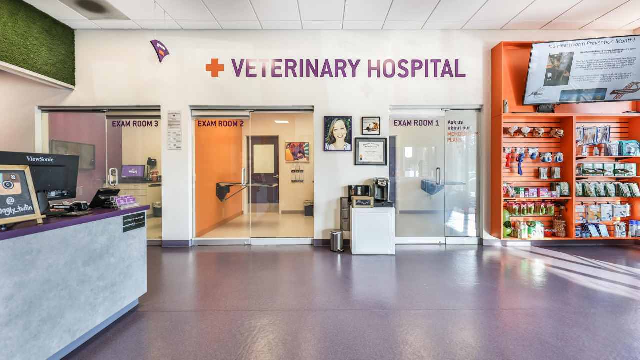 Wagly Veterinary Hospital and Wagly Partner