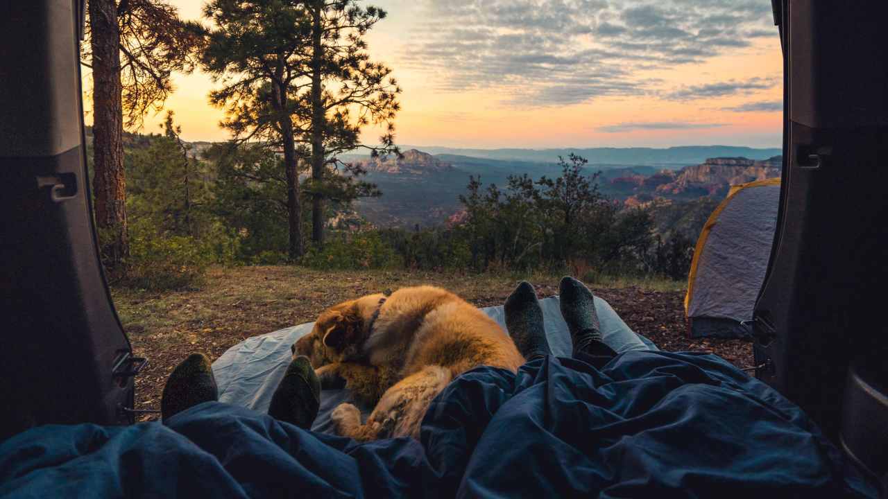 Family and dog camping in nature