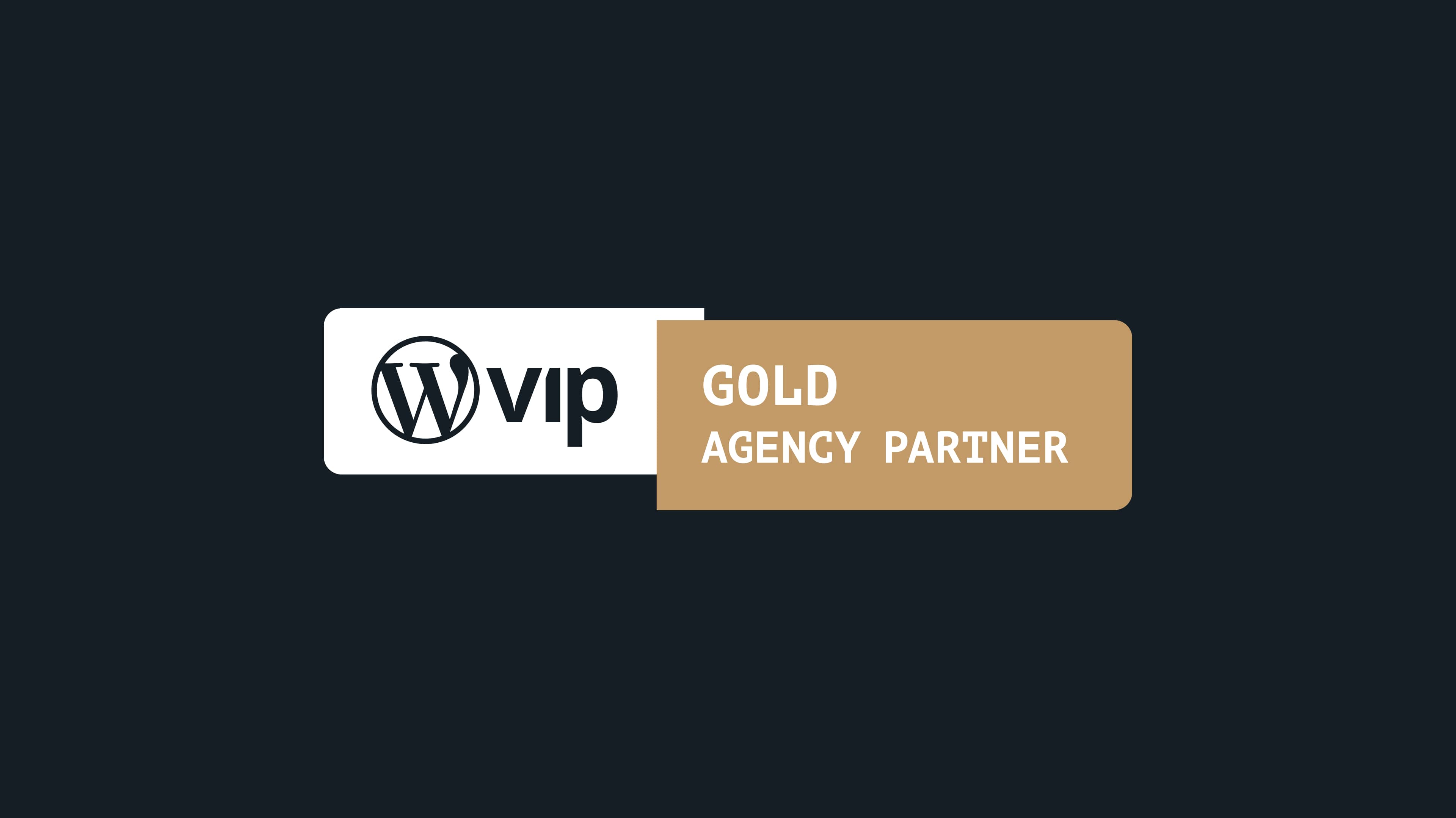 WordPress VIP cements its relationship with Rareview as Gold Agency Partner