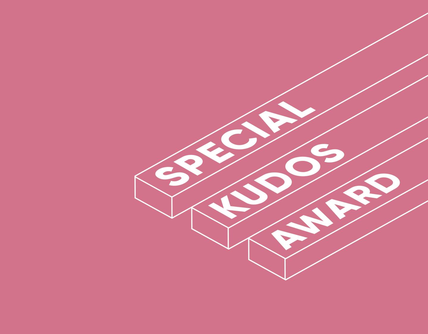 Special Kudos Award from CSSDA